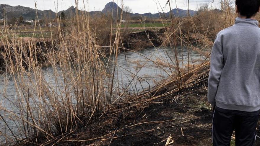 Nuevo incendio en el Segura