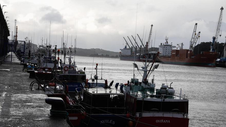 El Principado reparte 699.363 euros entre las cofradías asturianas: Avilés recibe la ayuda más baja