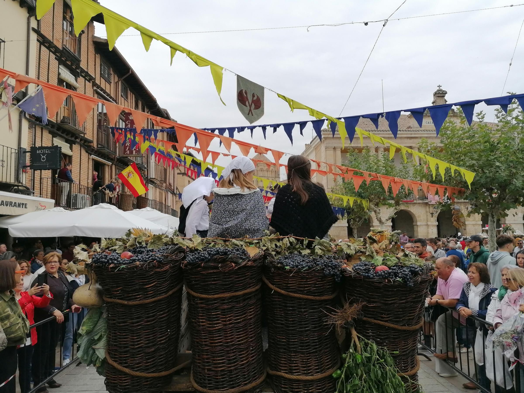 GALERÍA | Toro recrea la vendimia tradicional en el desfile de carros