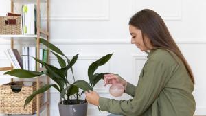 Agua sólida: la solución para que las plantas sobrevivan en vacaciones