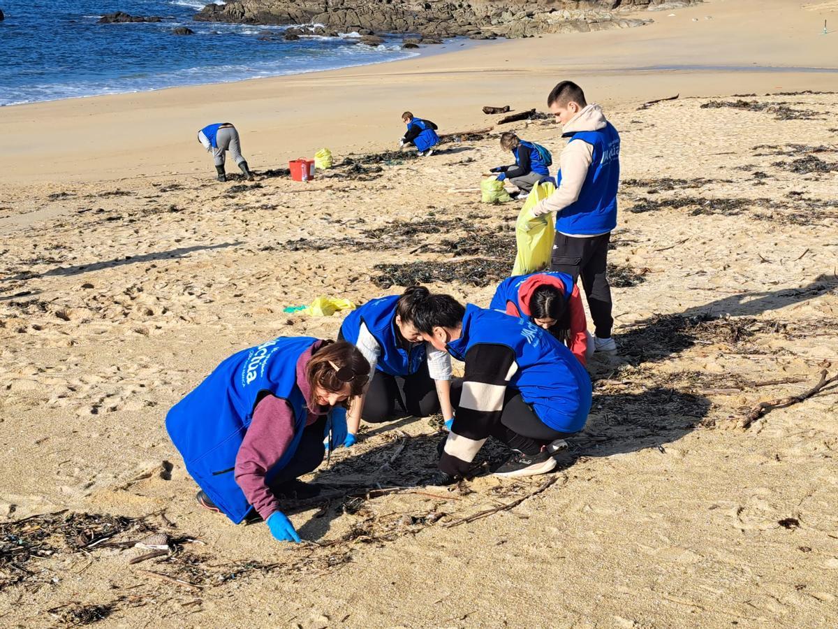 La limpieza de la playa de Area de Bon, en Bueu, en imágenes (II)
