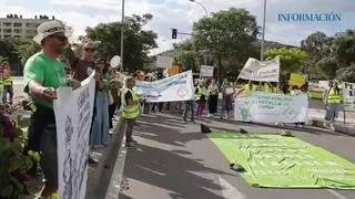 Segundo día de huelga de profesores: Los docentes mantienen el pulso a la conselleria en las calles de la provincia de Alicante