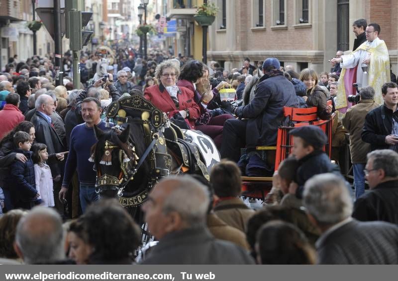 GALERÍA FOTOS - La provincia celebra Sant Antoni