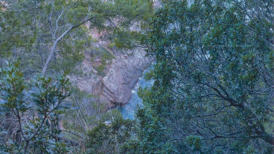 Antipaisajes  de la Serra