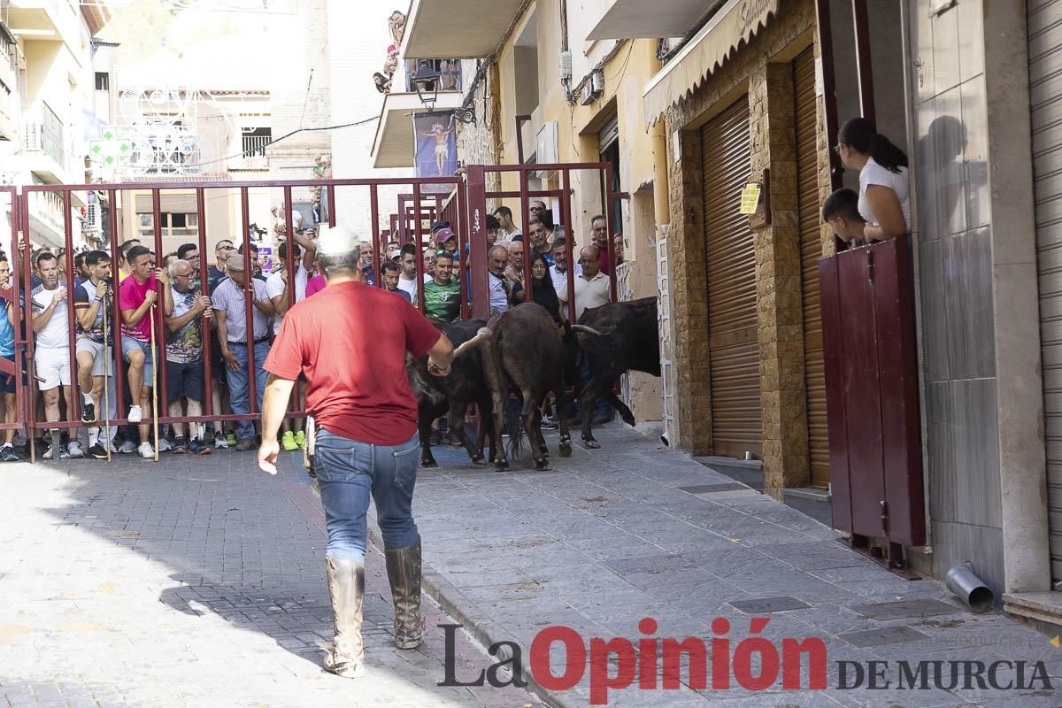 Cuarto encierro en las Fiestas de Moratalla