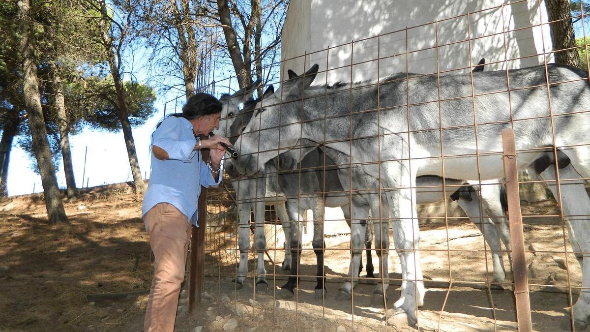 Jorge Pardo toca para tres burros de la reserva de Adebo en Rute.