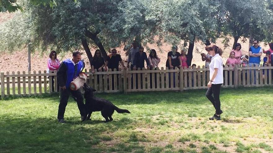 El adiestramiento de perros, una de las novedades de este verano en Almendralejo