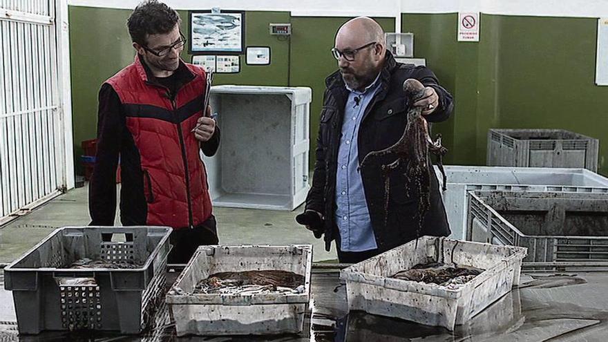 &quot;Pescadores de historias&quot; viaxa ó porto de Camariñas