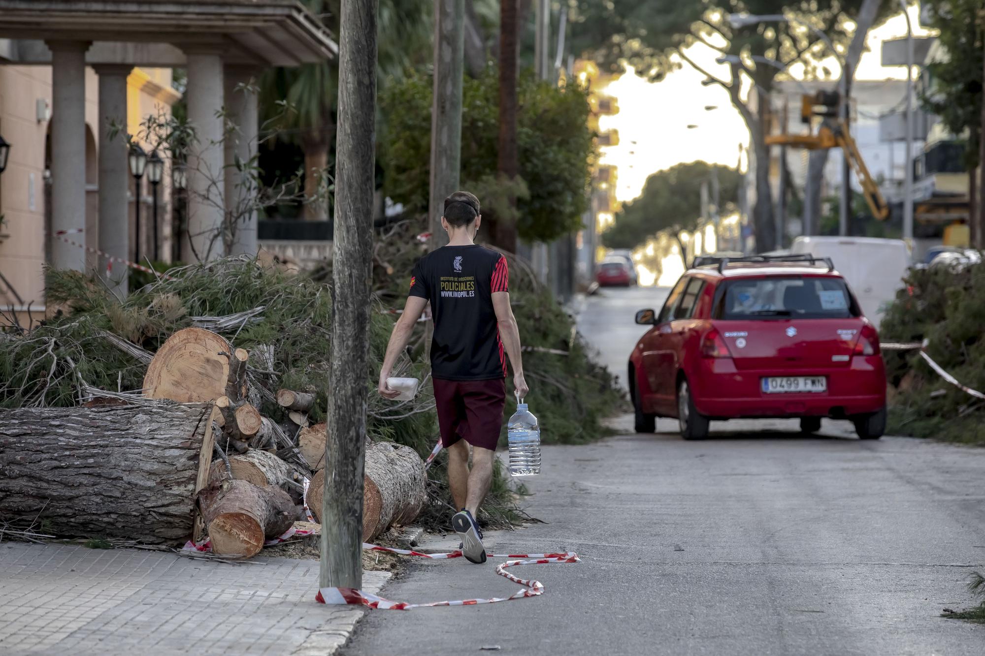 Los vecinos lamentan el "exterminio masivo" de árboles en la calle Pins de Can Pastilla