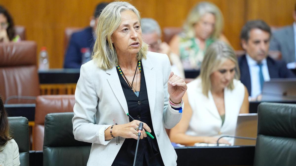 La consejera de Salud, Rocío Hernández.