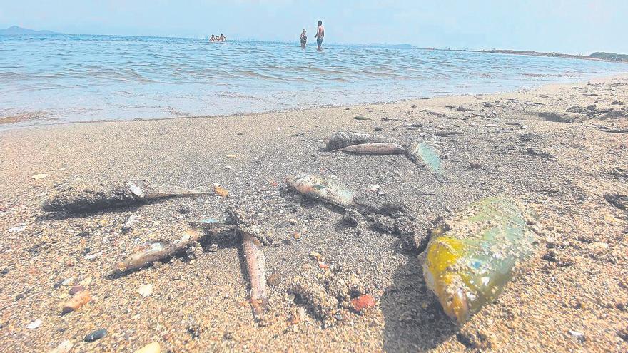 La posverdad y el Mar Menor. La foto de la ministra y el presidente