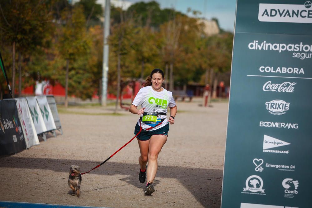 Can We Run Mallorca: So war das Hunderennen