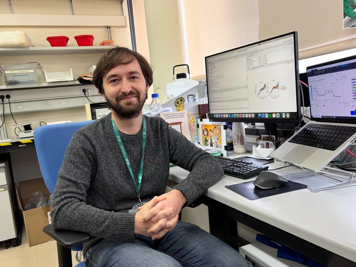 David Roiz Del Valle