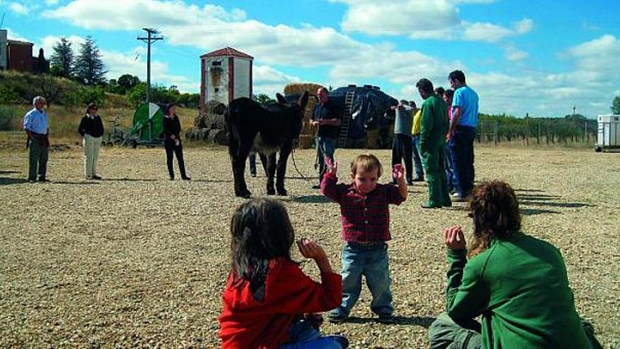 Asistentes a una clase técnica.