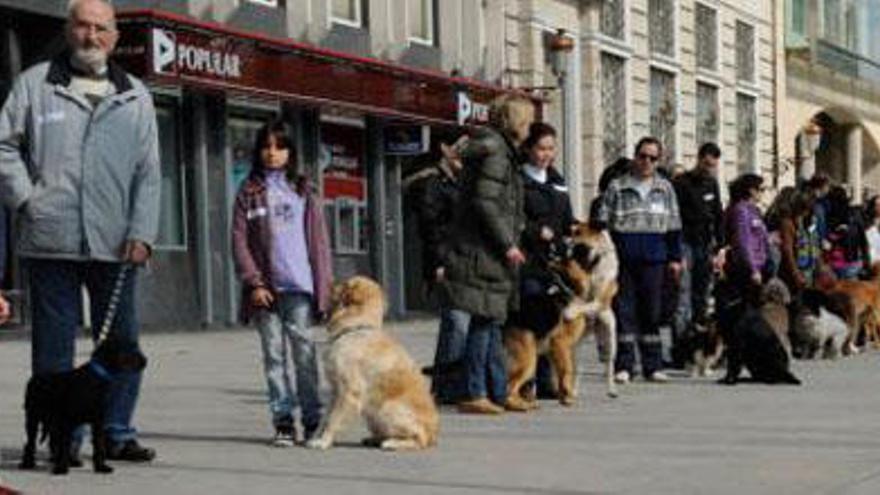 Participantes en un curso de adiestramiento canino en A Coruña.