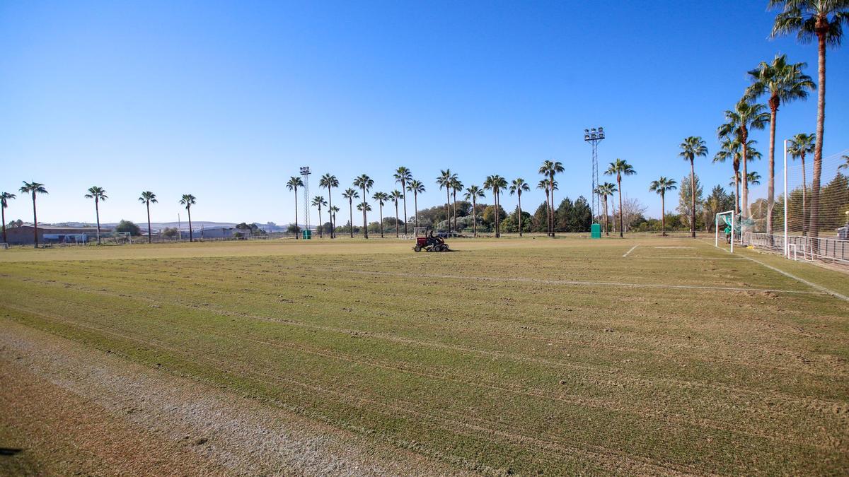 Vista del campo 2 de la Ciudad Deportiva, que había utilizado hasta hoy el Córdoba CF para sus entrenamientos.