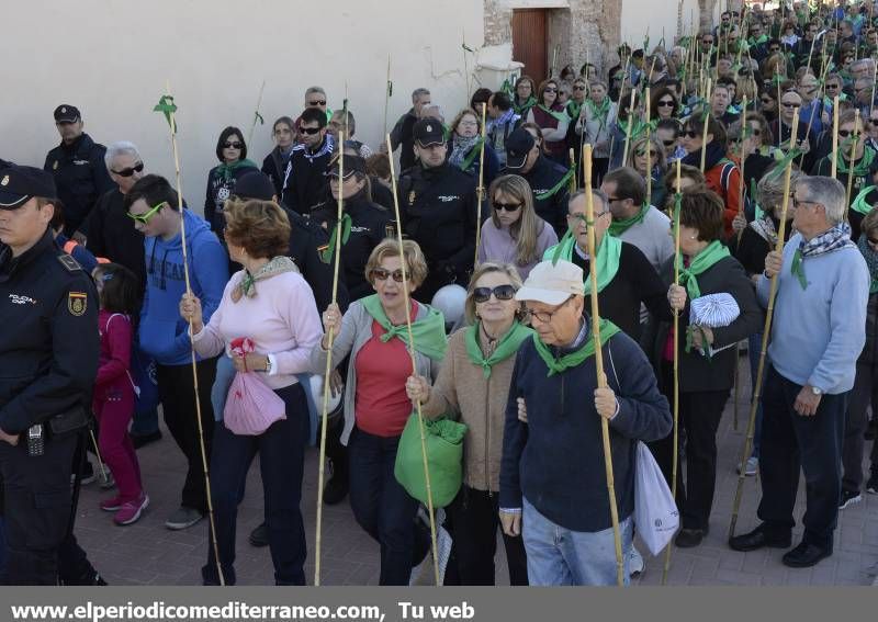 GALERÍA DE FOTOS - Romería Magdalena 2014 (5)