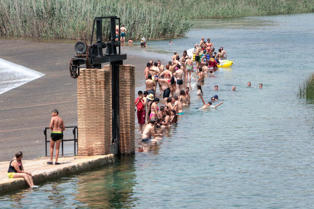 Los bañistas acuden al Assut d'Antella aunque el baño está prohibido