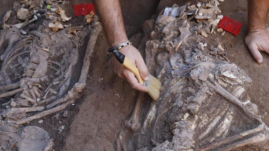 El Ayuntamiento de Córdoba avanza en los trámites para licitar los trabajos de exhumación de restos en las fosas comunes