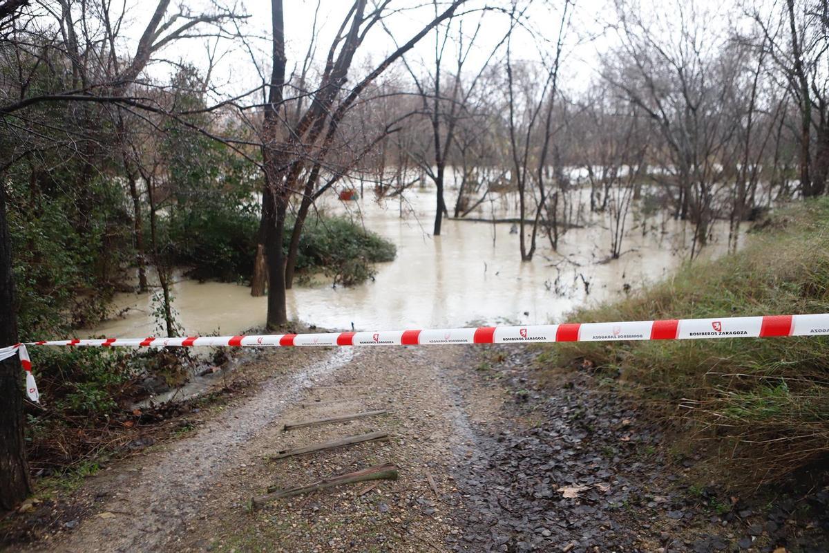 Así luce el río Ebro este viernes 13 de febrero