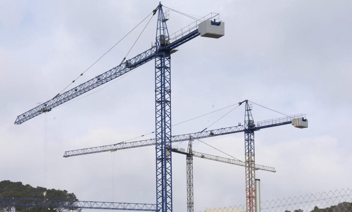 Grúas en una zona turística de Ibiza. | VICENT MARÍ