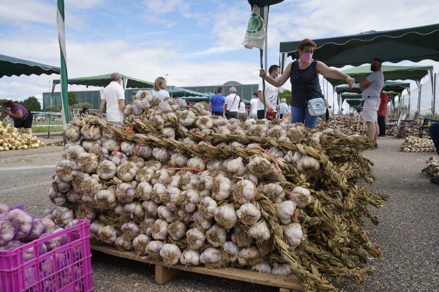 GALERÍA | La Feria del Ajo triunfa en Zamora: buena producción y colas para llegar a Ifeza