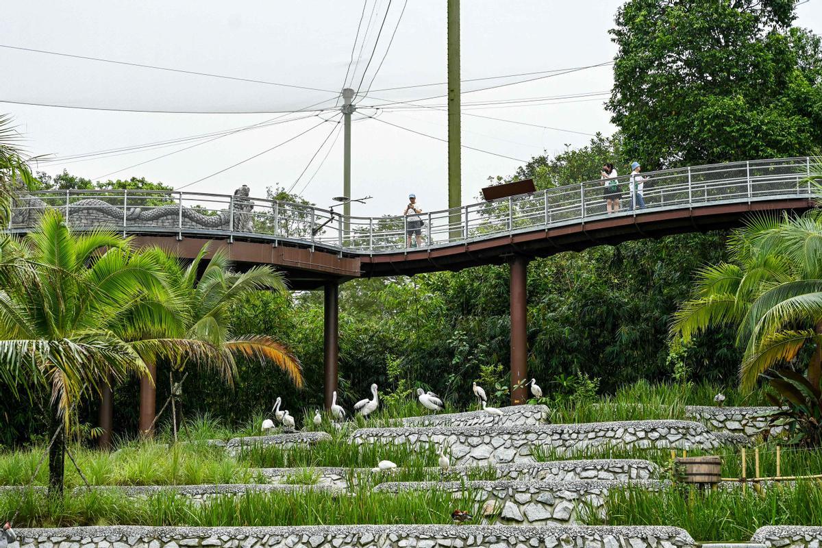 Singapur estrena el parque Paraíso de los pájaros