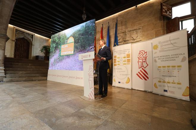 El Pla integral citrícola de la Comunitat Valenciana té un horitzó fins a 2023