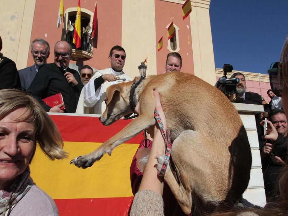 Los vecinos de Cartagena se han acercado junto a sus mascotas a recibir la bendición
