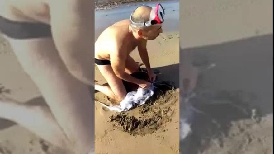 Rescatan a una tortuga que estaba atrapada en plásticos en Lanzarote