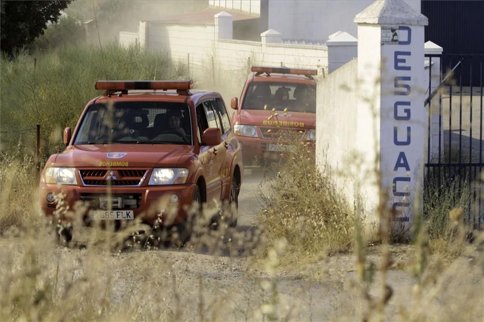 Incendio forestal en Cáceres