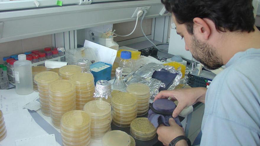 Un investigador manipula muestras en el laboratorio. Un investigador manipula muestras en el laboratorio.