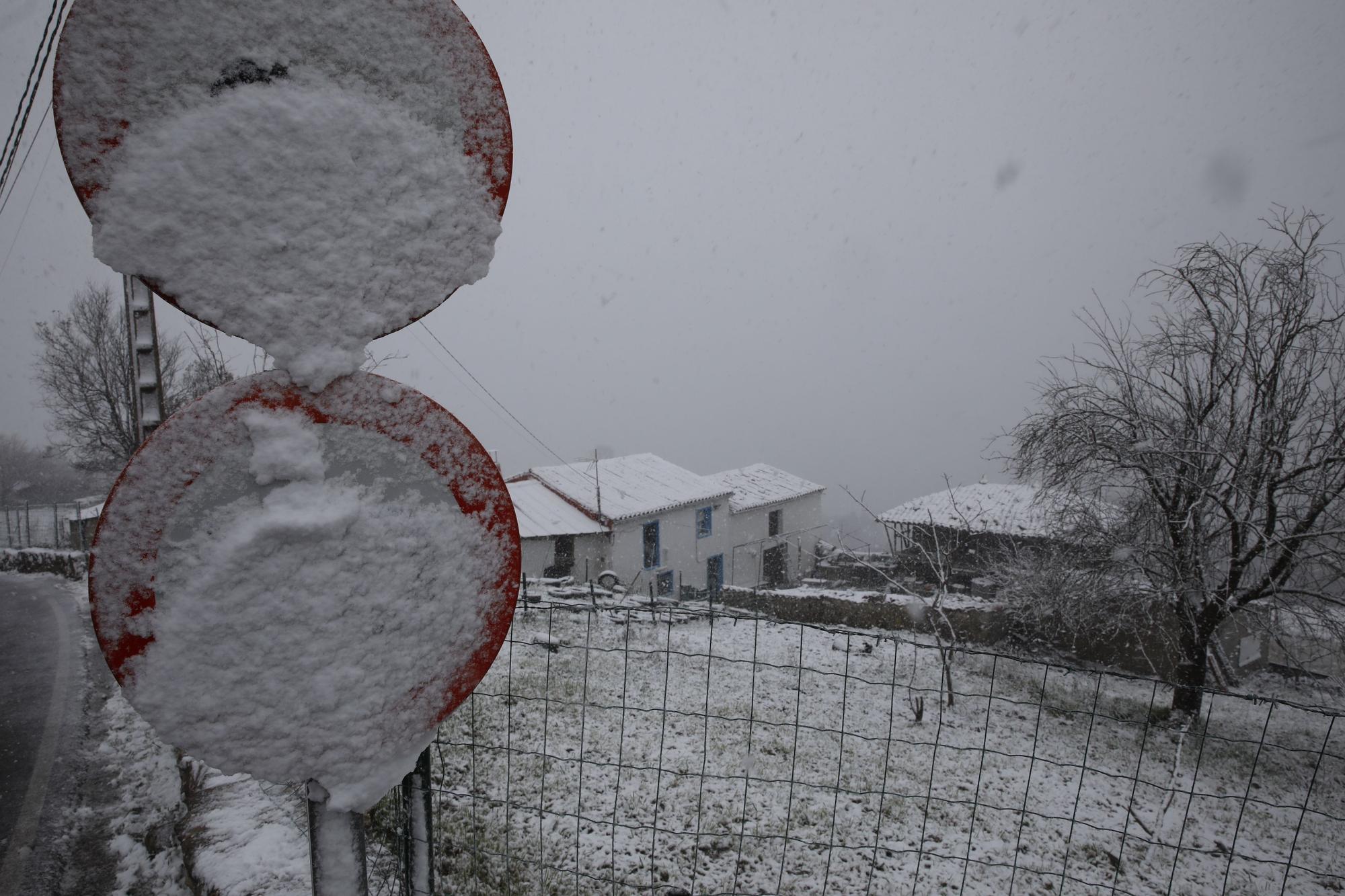 En imágenes: La borrasca Juliette llena de nieve parte de la zona rural de Gijón