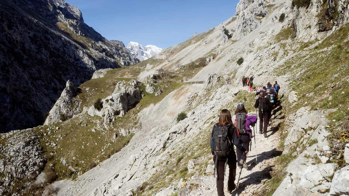 5 rutas desde Cangas de Onís Viajar