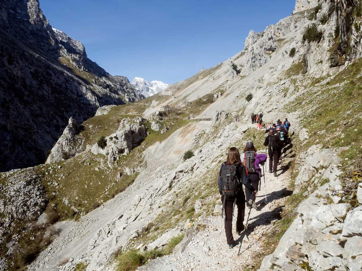 Parque Natural de los Picos de Europa