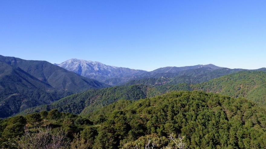 El Congreso aprueba el Parque Nacional de la Sierra de las Nieves