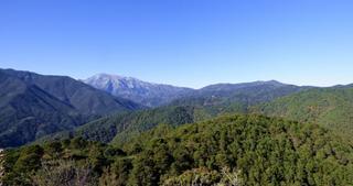 El Congreso aprueba el Parque Nacional de la Sierra de las Nieves