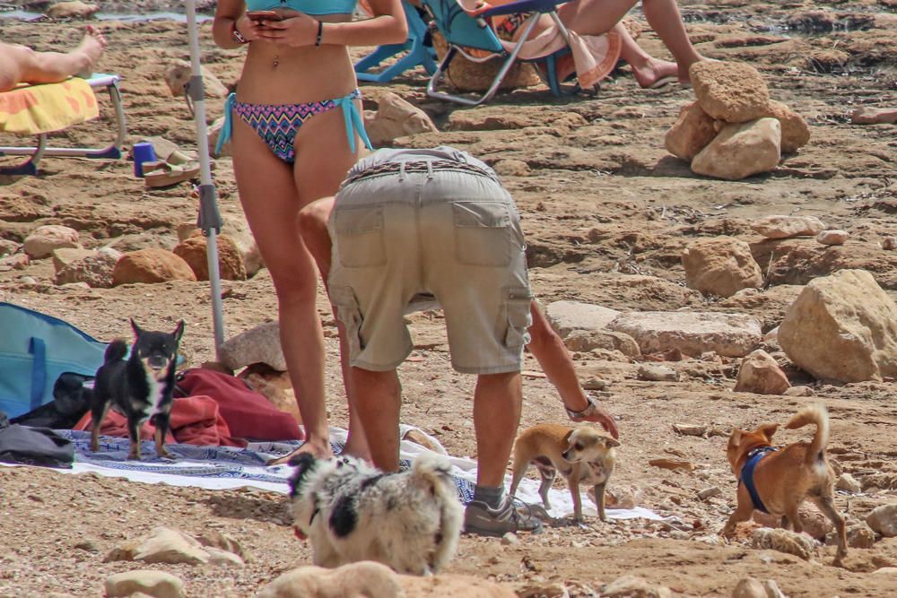 Vecinos de Punta Margalla en Torrevieja, en contra