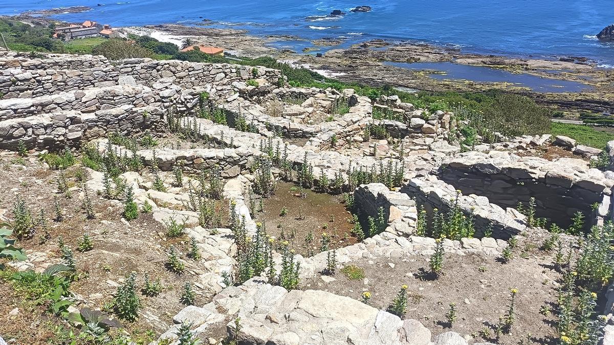 La primera fase de las excavaciones arqueológicas de 2026 en la isla de Ons