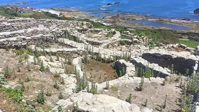 La primera fase de las excavaciones arqueológicas de 2026 en la isla de Ons