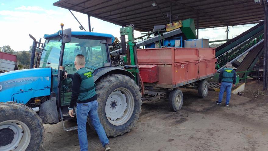 Un detenido en Bujalance por robar un remolque con casi dos toneladas de aceituna