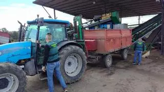 Un detenido en Bujalance por robar un remolque con casi dos toneladas de aceituna