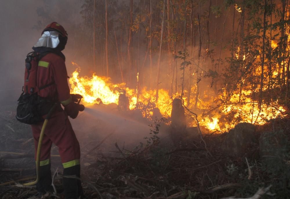 La ola de incendios forestales alcanzan a Santiago