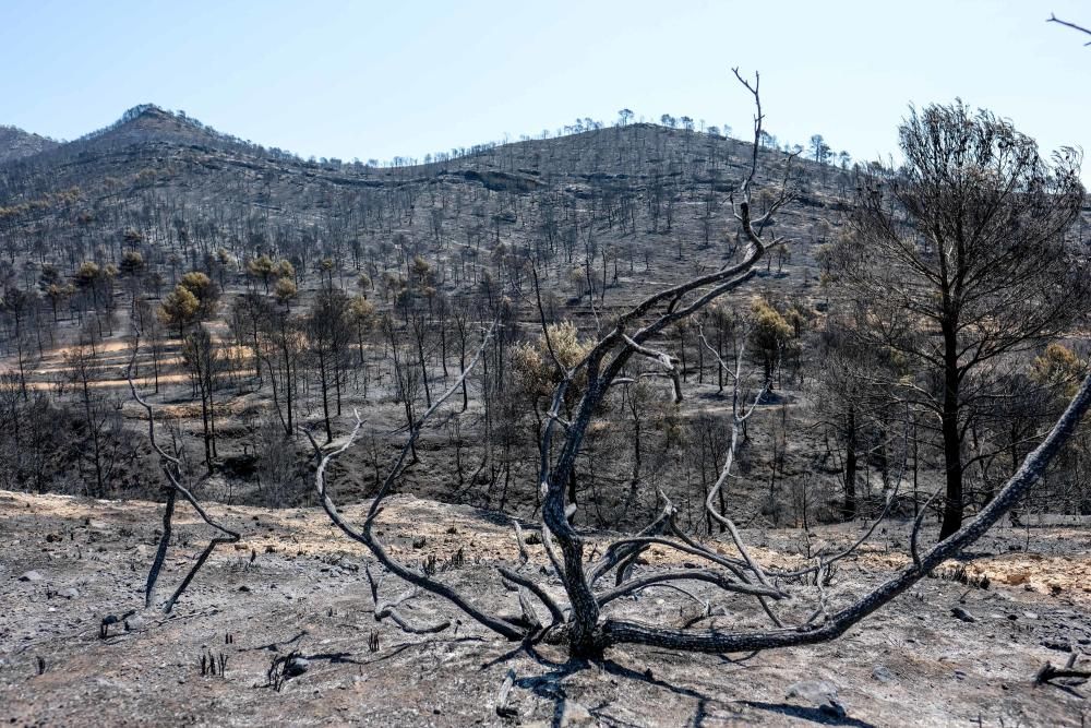 Así ha quedado la zona tras el incendio.