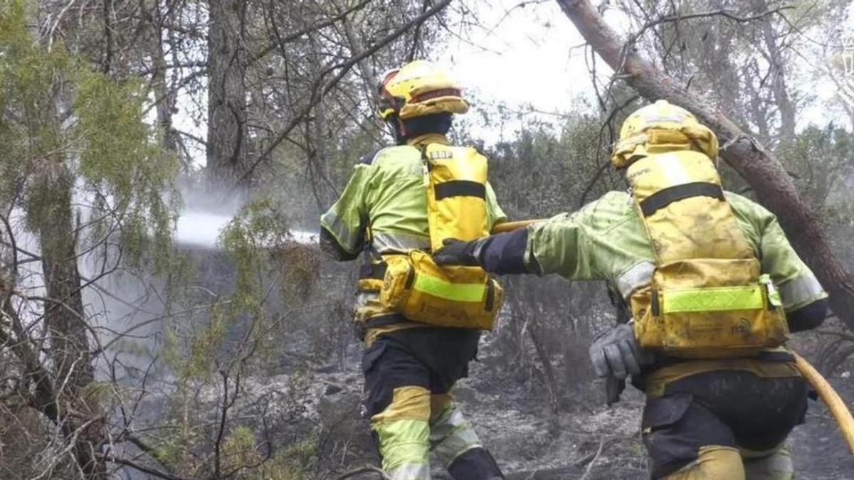 Movilizan tres medios aéreos tras reproducirse el incendio forestal de Tuéjar