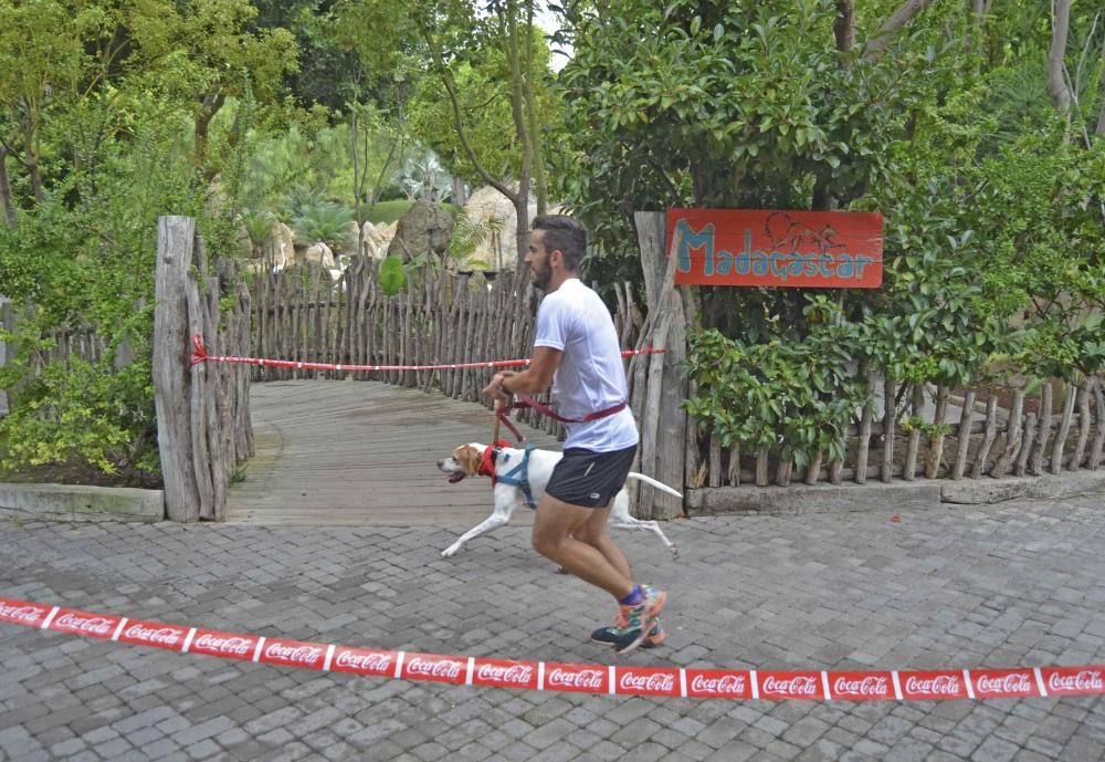 Los participantes en la cuarta Can-rrera.