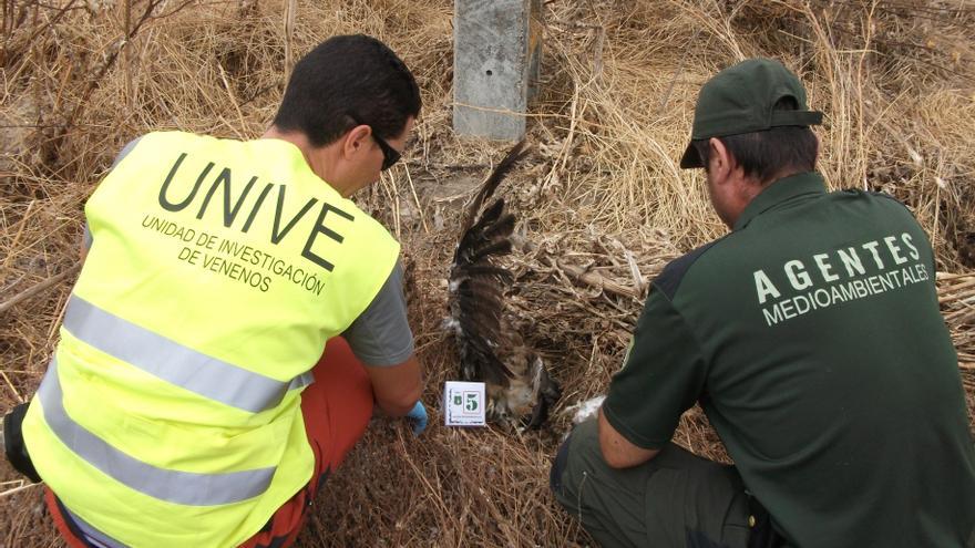 El veneno podría haber matado a 200.000 animales en España en los últimos 25 años