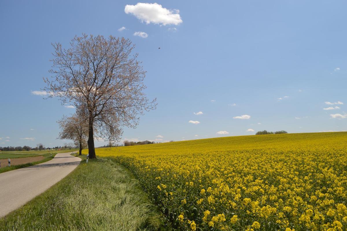 Paisajes de los alrededores de Rota.