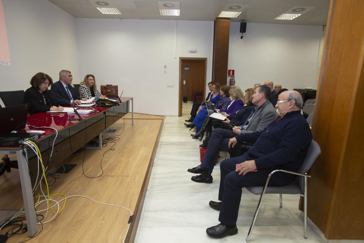 Aprobación de los presupuestos de la UA por el Consejo Social en la sede de San Fernando,40