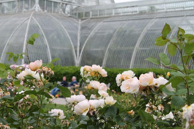 Palm House, Jardines Kew